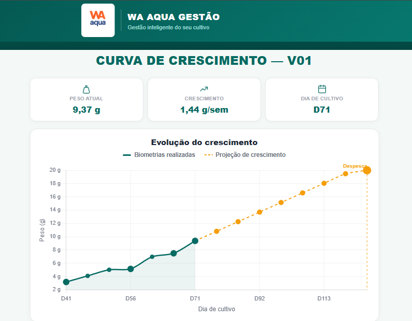 Curva de crescimento do camarão